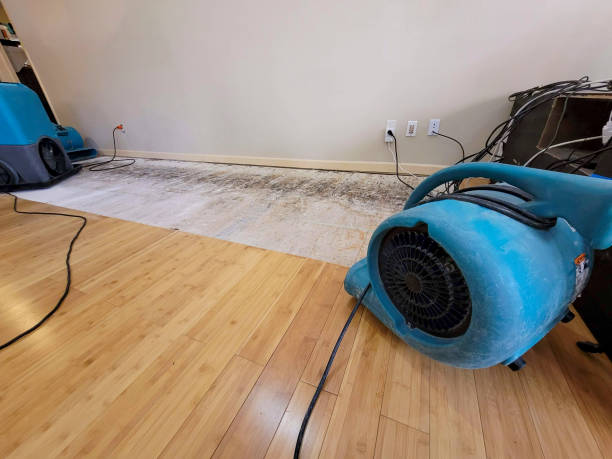 Professional Water Damage Repair technician working in Salem, SC